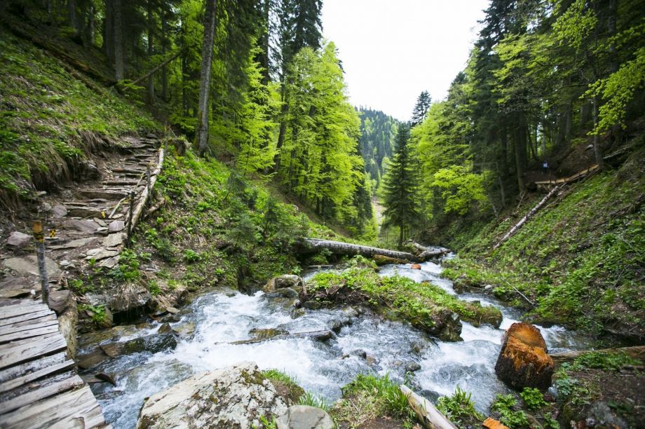 Парк водопадов Менделиха 1