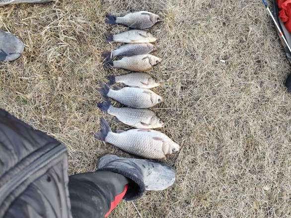 Рыбалка на Надеждинской старице под Надеждино